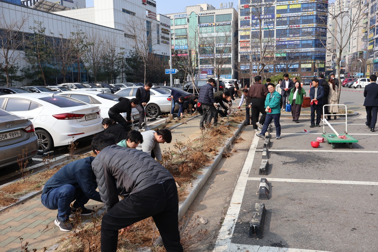 2025년 봄맞이 식목행사!
